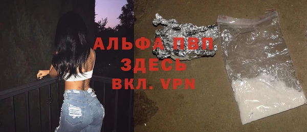 не бодяженный Бородино