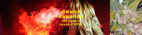 первитин Богородицк