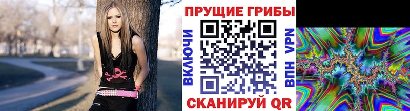 Галлюциногенные грибы Psilocybe  Микунь 